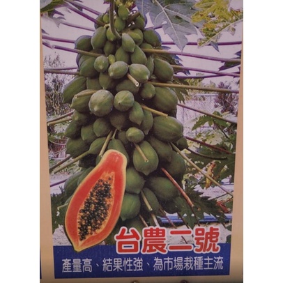 花囍園_水果苗—台農二號木瓜(苗)--果實適中且果型美觀~常見的品種/3.5吋