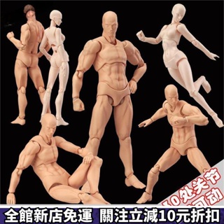 特價免運🔥figma 人體模型素體美術 玩具日本人偶 關節可動成人繪畫肌肉shf素體