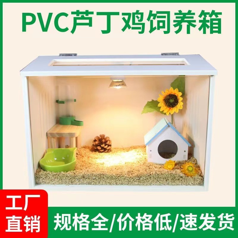 pvc爬蟲箱 飼養箱 爬蟲飼養箱 蜥蜴箱 pvc爬箱 爬蟲箱 加熱箱 蘆丁雞保溫箱 陸龜箱