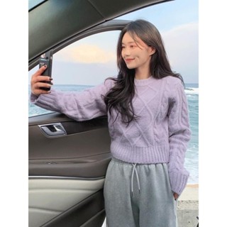 【Codibook】韓國 Dayroze 麻花針織上衣4色［預購］針織衫 毛衣 女裝
