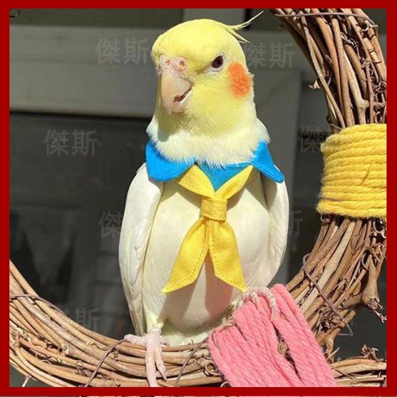 【台灣出貨】鸚鵡衣服鳥項圈賣萌領結裝飾品白襯衫玩具可調節禮服假領子彩領巾 js