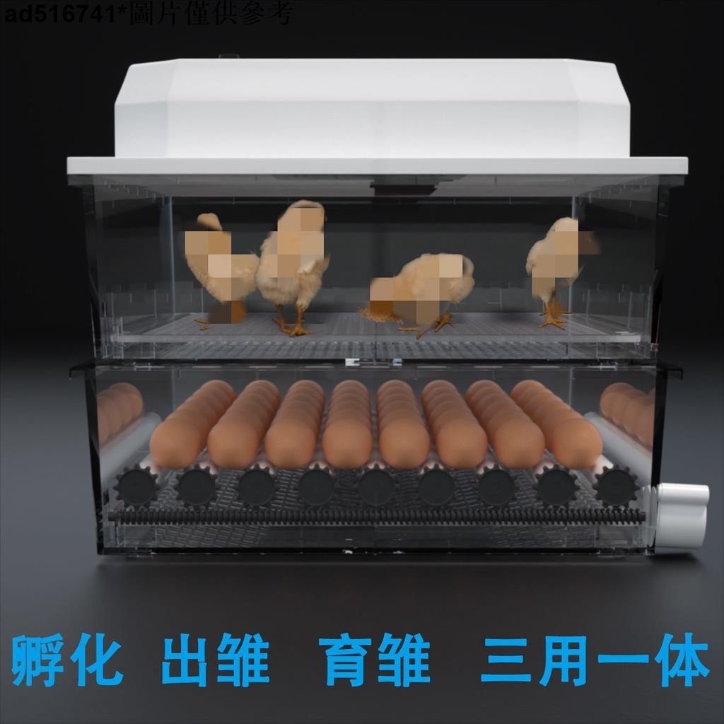 大賣G全自動孵化機家用小型小雞孵化器鴨鵝鴿子鵪鶉孵蛋器孵小雞的機器ytu店
