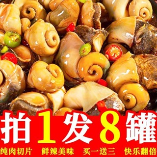免運 麻辣大海螺肉新鮮即食海鮮罐頭熟食小吃零食罐裝蝦尾扇貝撈汁下飯8