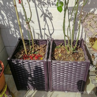 廠傢直供#免運 陽臺種菜深花盆樓頂葡萄薔薇月季花箱花槽大號果樹盆50種植箱 花盆 花架 花箱 種植箱
