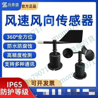 「可開發票」風速風向傳感器風向風速變送器高精度RS485三杯式