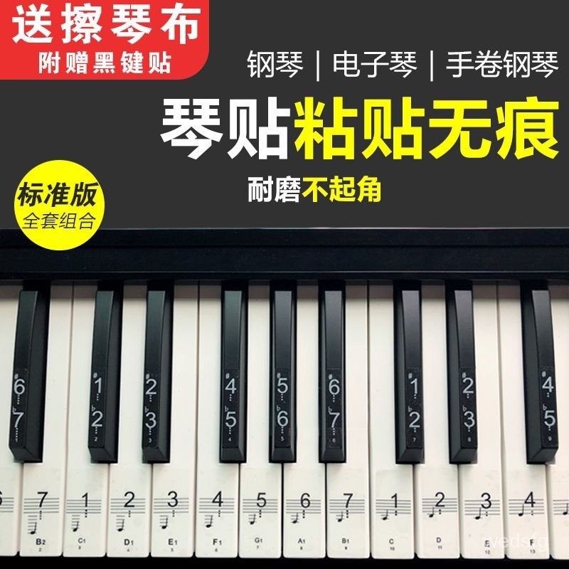 🔥熱銷特賣🔥透明88鍵鋼琴貼紙76鍵54鍵61鍵電子琴貼紙五綫譜簡譜音符按鍵貼49 VFKF