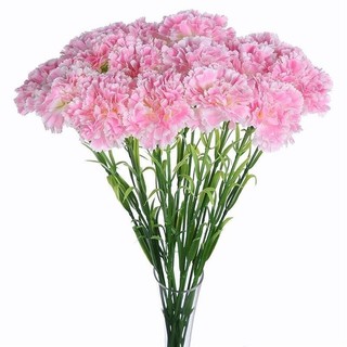 裝飾 幹花束 花束康乃馨仿真花母親節禮物乾花束手捧花絹花假花插花擺設送媽媽長輩