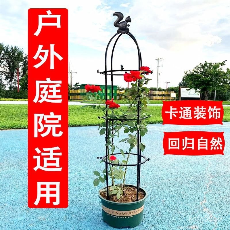 園藝 爬藤花支架 植物支架 爬藤架 盆栽支撐架 花架 支撐架 園藝支架 植物架 植物支架 月季鐵綫蓮 紫藤支架 攀爬花架