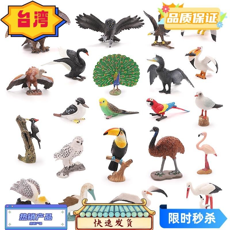 台灣熱賣 實心仿真野生動物世界鳥類玩具 飛禽動物模型擺件套裝 老鷹 鸚鵡 貓頭鷹 孔雀 天鵝 鸚鵡 兒童早教認知禮物