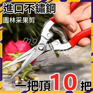 【臺灣熱賣】進口不銹鋼 摘果剪 園藝剪刀 修枝剪 葡萄火龍果 剪 採摘花椒神器 專用剪