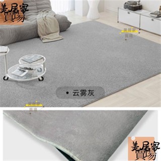 ❤️[台灣熱賣]雲霧灰-升級超柔 · 100x160cm 素色客廳地毯沙發茶几毯bin35