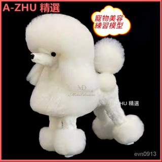 可開發票【寵物美容】模擬假狗模型 貴賓泰迪毛絨模特 寵物美容學校練習骨架假毛有助於學習寵物修剪 敎學用假毛 模擬狗 假狗