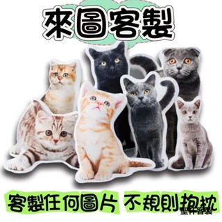 聖杯客製 客製化抱枕 抱枕 抱枕娃娃 公仔 長抱枕 異形抱枕 寵物抱枕 情侶抱枕 生日禮物 寵物紀念品 玩偶