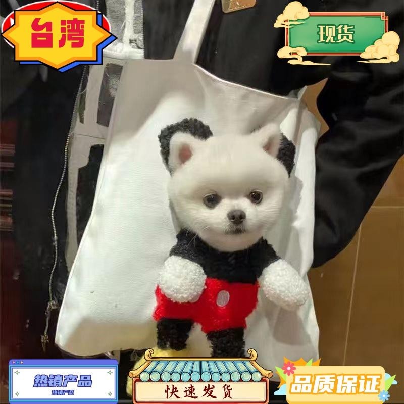 台灣熱銷 寵物可露頭可愛米奇卡通帆布包 手提購物袋 斜背包大容量學生書包 寵物外出包 狗狗包 貓咪包 寵物手提包