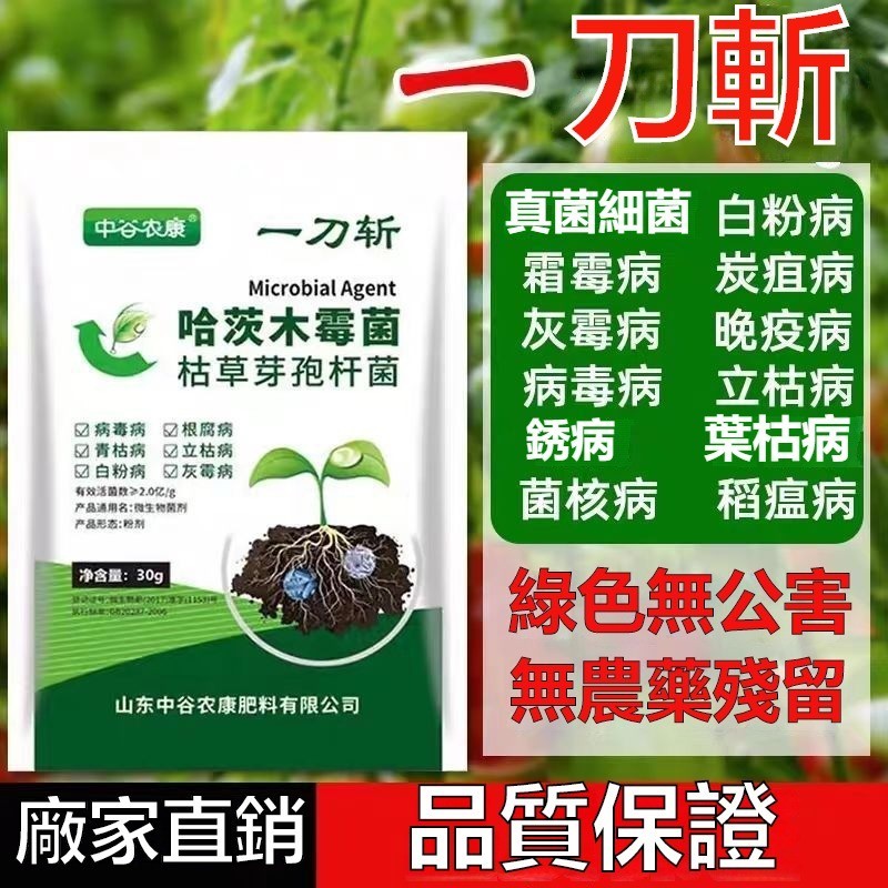 【正品】哈茨木黴菌 微生物菌劑 抗重茬 清紫袍地衣芽孢桿菌 農用 蔬菜 水果 花卉 肥料