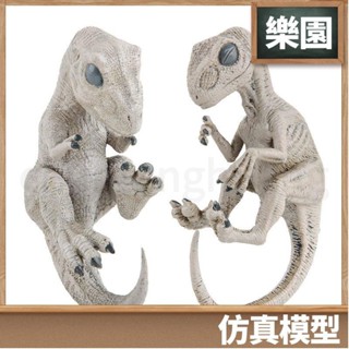 桃園出貨⚡️免運 模擬動物模型 實心模型 實心霸王龍幼崽模型 迅猛龍幼崽動物模型擺件 模擬恐龍幼崽模型玩具43