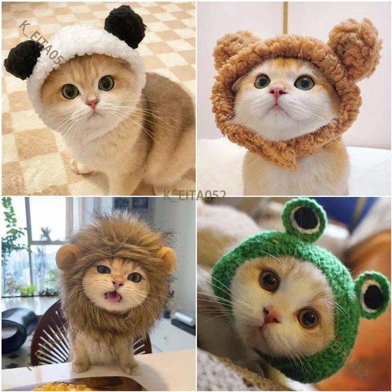 『台湾｜暢銷』貓咪獅子頭套寵物可愛青蛙小熊帽子兔耳朵搞怪頭飾狗狗網紅變裝帽