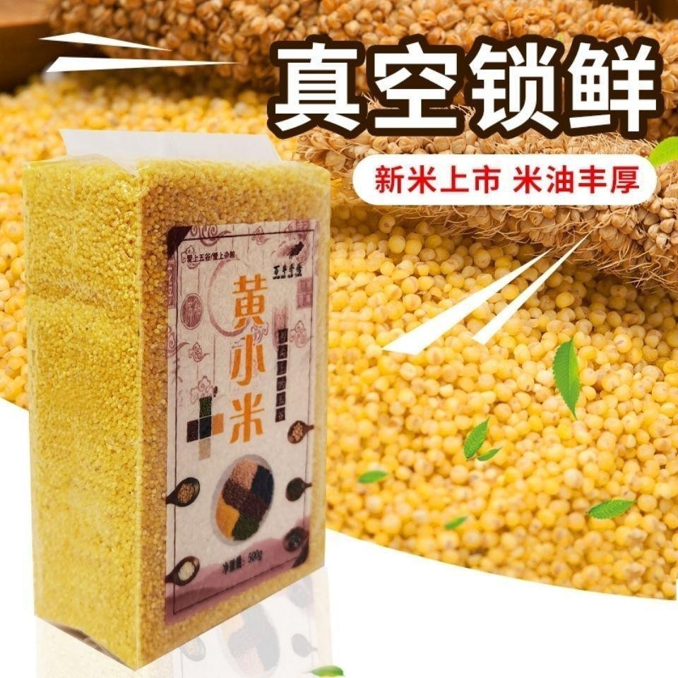 貨多多🌹黃小米新鮮小黃米真空獨立包裝農傢小米粥月子米食用雜糧