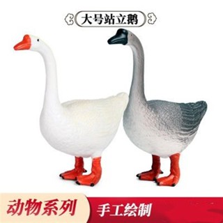 🎊新品下殺🎊兒童模擬野生動物鵝模型實心家禽牧場大白鵝白天鵝塑膠玩具擺件