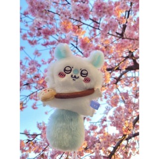 ✨桃園出貨✨吉伊卡哇chiikawa可愛飛鼠毛絨玩偶公仔周邊莫莫咖包掛件學生禮物