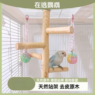 鸚鵡站臺 鸚鵡站架 鳥站臺 鳥站架 站臺 站架 鳥架 鳥用玩具 實木鸚鵡站臺 鳥站臺鳥籠原木站架牡丹玄鳳小太陽文鳥虎皮棲