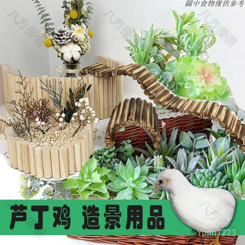 台灣熱銷|蘆丁雞造景用品 專用籠 飼養箱 寵物雞窩 傢俱木製圍欄 躲避屋 房子裝飾