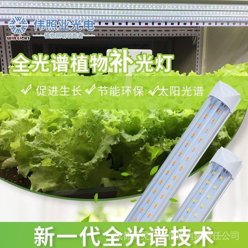 【台湾出货】2023新款 全光譜led植物生長燈 防徒長光譜燈 太陽燈 植物補光燈管 雙排全光譜白 34w開關防水控制