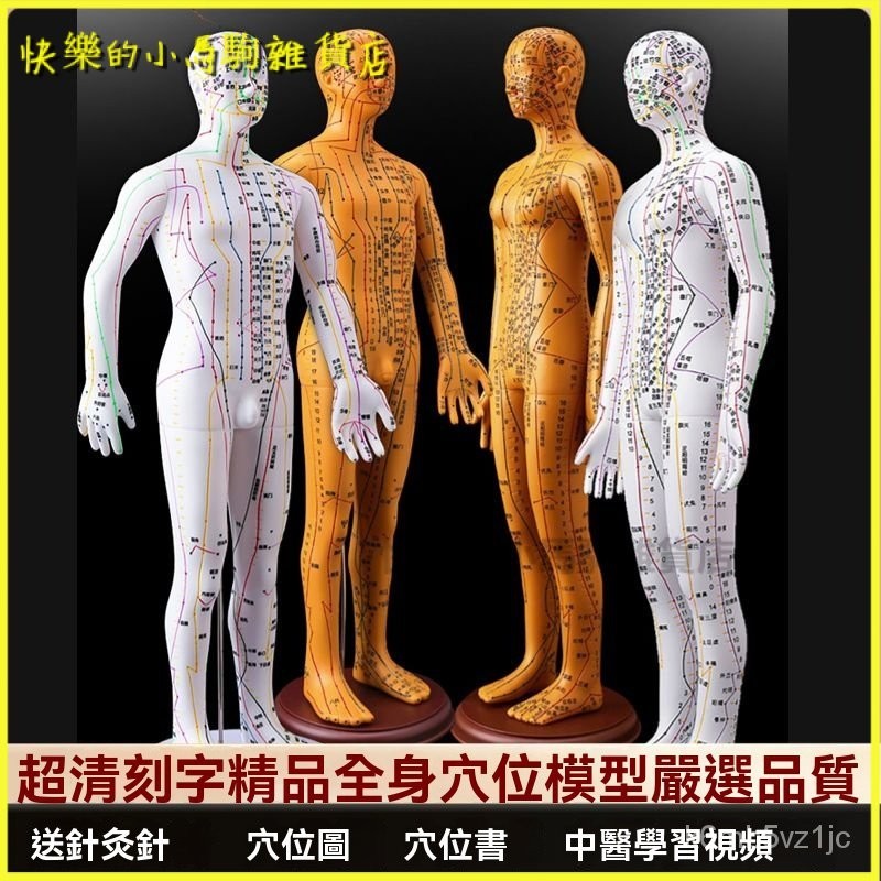 可開發票針灸穴位人體模型可紮針經絡全身圖小銅人模特大真人十二銅人練習 人體模型 器官模型 人體針灸模型 人體模型