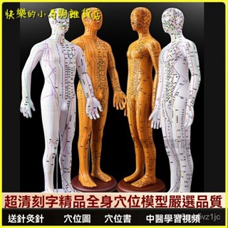 可開發票針灸穴位人體模型可紮針經絡全身圖小銅人模特大真人十二銅人練習 人體模型 器官模型 人體針灸模型 人體模型