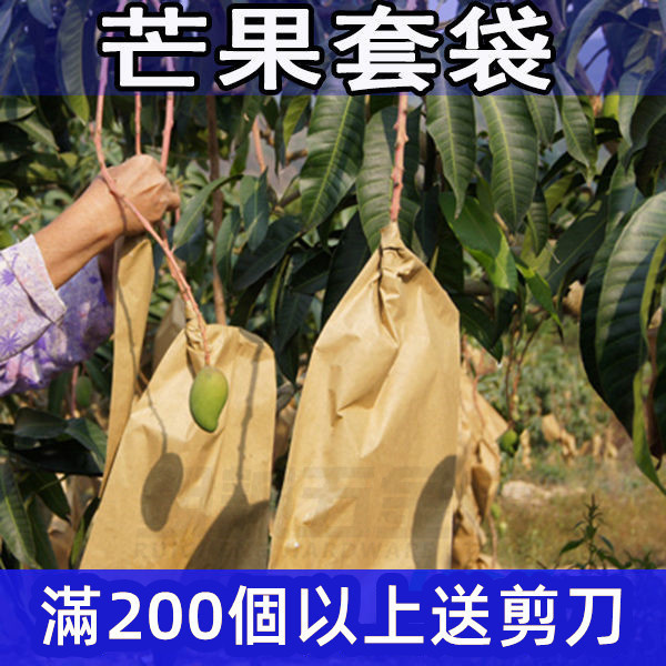 (陳家特購)芒果專用套袋 芒果紙袋 芒果套袋 雙層育果袋 芒果袋子 防雨 防蟲 防果蠅