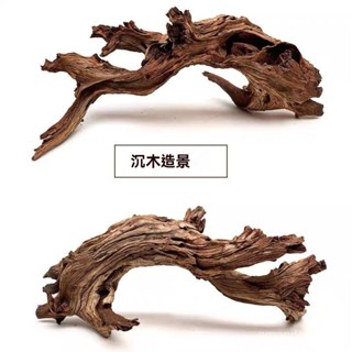 天然枯木樹枝沉木造景 爬寵 蜥蜴守宮躲避屋 樹脂洞穴 守宮屋 躲藏 躲避屋 躲藏洞 瘤尾守宮 石龍子 蜥蜴 蠍子 蛇