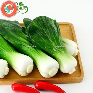 模具 模擬青菜 高仿上海青 小油菜 假青菜模型PU模擬蔬裝飾道具菜攝影早教模擬道具道具模擬水果489