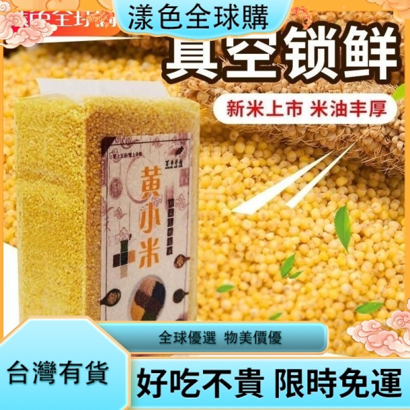 漾色🌹【臺灣熱銷】黃小米新鮮小黃米真空獨立包裝農傢小米粥月子米食用雜糧