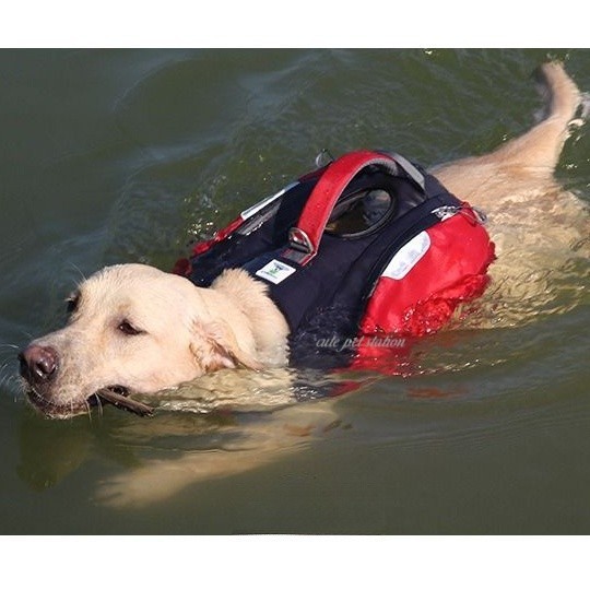 【cute pet station】狗狗救生衣自背包一體  中大型犬遊泳衣 金毛拉佈拉多大狗馱包 寵物浮力衣 N4ZH