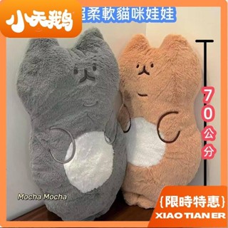 小天鵝 ins貓咪娃娃 貓咪毛絨公仔玩偶玩具 貓咪公仔玩具 貓咪毛絨玩具 貓貓抱枕 超柔軟抱枕 超柔軟娃娃 軟綿綿沙發靠