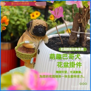 可開發票2023款多肉花盆新款網紅可愛動物巴哥造型花園庭院魚缸裝飾品掛件 微景觀擺件 盆栽裝飾 多肉植物 迷你園藝 園藝