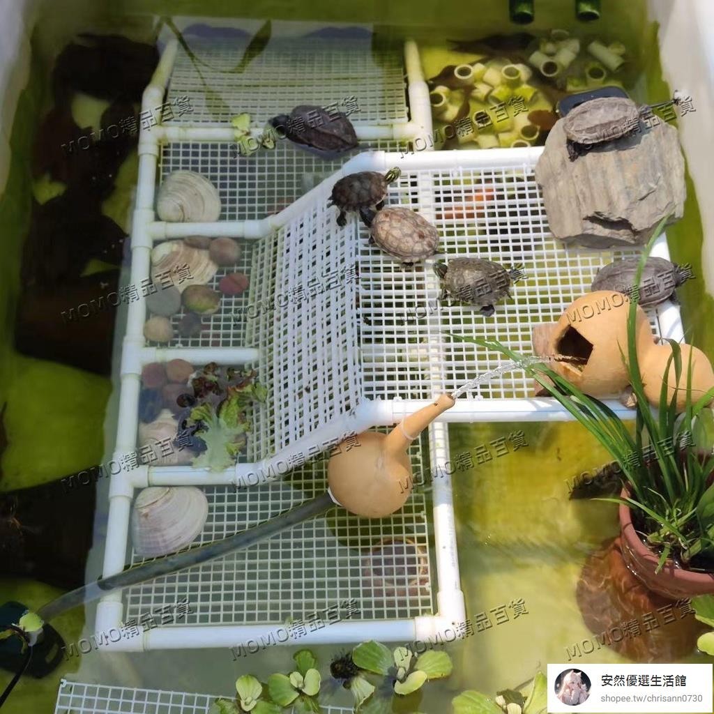 加厚牛筋塑料水箱長方形水產養殖養魚養龜泡瓷磚盆儲水桶大號容量【安然優選】