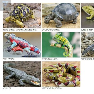 限時免運 Colorata日本蝴蝶社正品動物模型模擬玩具野生爬行蜥蜴鱷魚龜蛇 收藏品 聖誕禮物 手禮