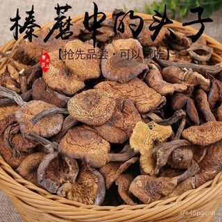 0新增 天然 東北特産野生榛蘑去跟無腳小鷄燉蘑菇幹貨榛蘑丁純野生榛蘑 包郵