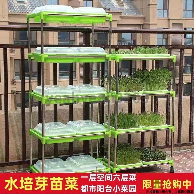 芽苗菜多層 帶蓋育苗盆水培種子豆芽菜育苗盤 種植架 帶蓋育苗盆水培種子豆芽菜育苗盤 芽菜籽無土栽培 ✨yeahyeah