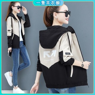 一隻羊 春秋季短版連帽上衣女新款韓版寬鬆小個子風衣夾克棒球服外套