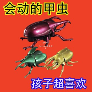 臺灣發貨+限時免運🔥發條甲蟲玩具模型兒童模擬爬行昆蟲男孩寶寶創意上鏈條動物禮物
