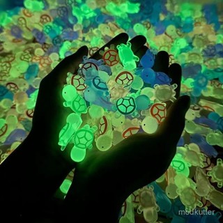 桃園快速🚚新款夜光小烏龜園藝擺件魚缸樹脂小擺件熒光小玩意車載小動物裝飾
