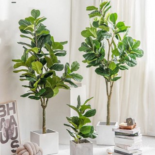 模擬琴葉榕 模擬樹 植物綠植盆栽 人造假樹盆栽 落地擺件 假樹 客廳裝飾 居家裝飾 客廳室內大型假盆景