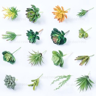 模擬多肉植物模擬盆栽放生多肉植物仙人掌裝飾植物模擬草放生植栽人造花裝飾花居家裝飾