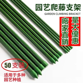全網最低價🔥 包塑鋼管爬藤架 支撐葡萄黃瓜架 戶外庭院支柱 菜園搭架 爬藤架 園藝替代竹竿 瓜果爬藤包塑鋼管葡萄架