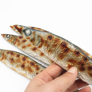 🥂精美模玩🥂工廠臺發PVC模擬燒烤肉秋刀魚日式料理食物模型直播拍攝影道玩具