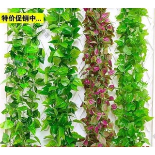 【❤️限時特價❤️】模擬綠蘿葡萄壁掛裝飾植物藤條藤蔓 管道裝飾塑膠花假花藤條假樹葉藤