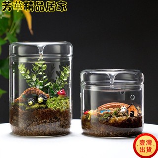 🔥臺灣出貨🔥苔蘚生態瓶 生態缸 迷你生態瓶 露集杯微景觀玻璃罩生態苔蘚植物桌面迷你擺件盆栽瓶自由發揮想像kun1
