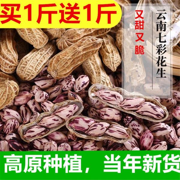 精品??????【買500g送500g】花生 七彩花生 帶殼花生 農家自種野地曬乾花生 休閒零食 小吃 零嘴 又甜又脆